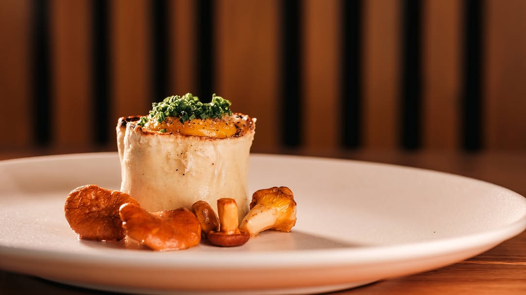 Rotolo en Galea, Roma Norte, CDMX. 