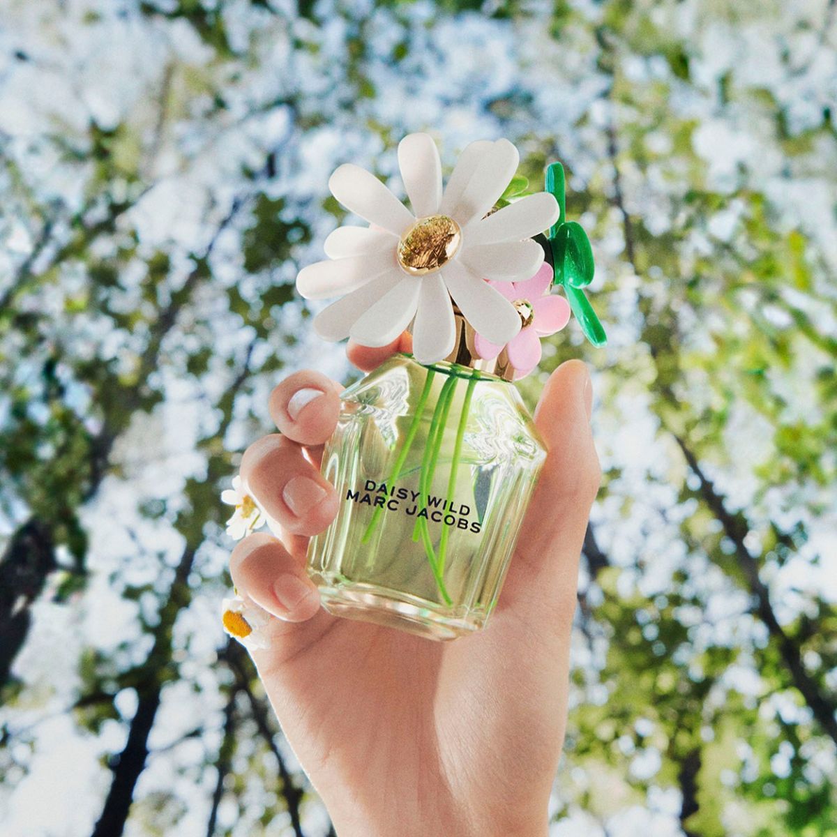 perfumes florales primavera