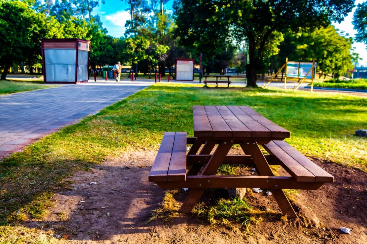 Arma tu picnic primaveral en las banquitas del Bosque de Chapultepec
