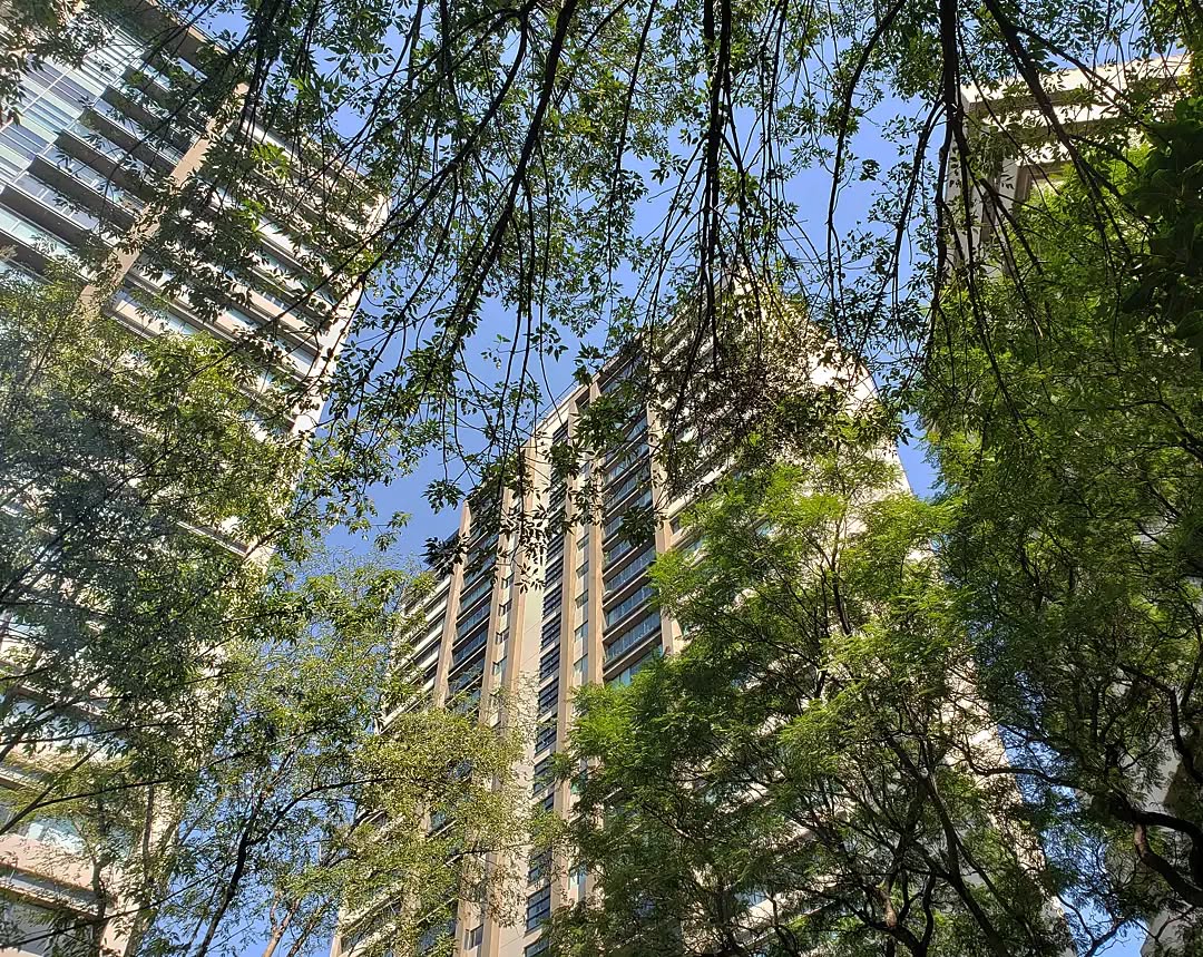 Este parque es el mejor lugar para un picnic primaveral al sur de la CDMX