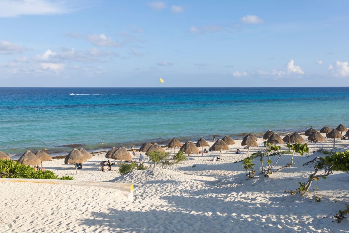 palapas playa delfines