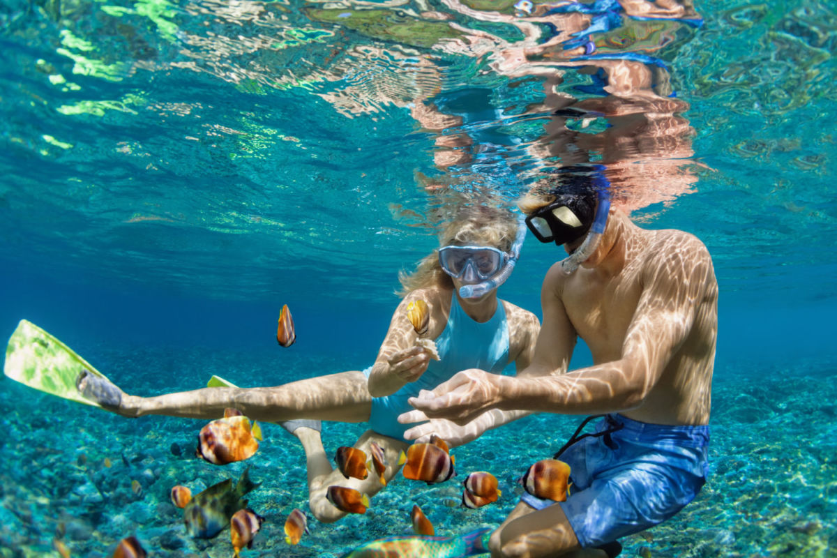 lugares para practicar snorkel en México 