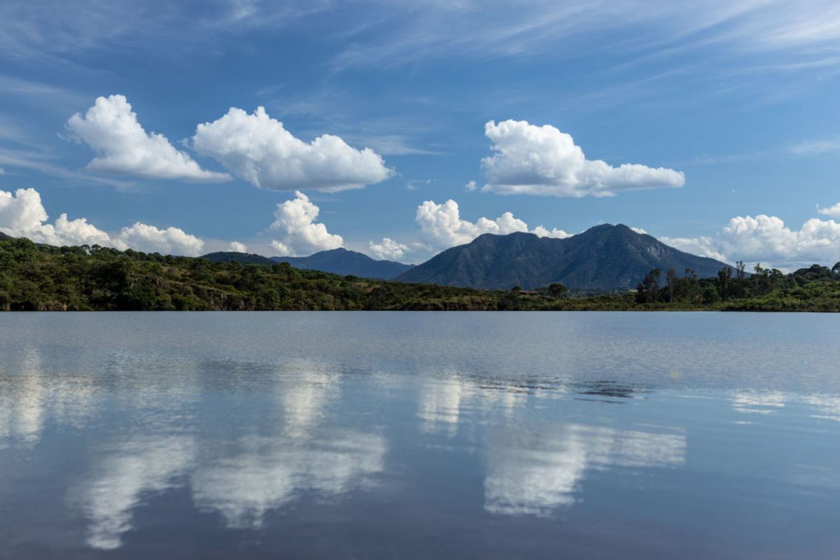 Presa Corrinchis en Mascota