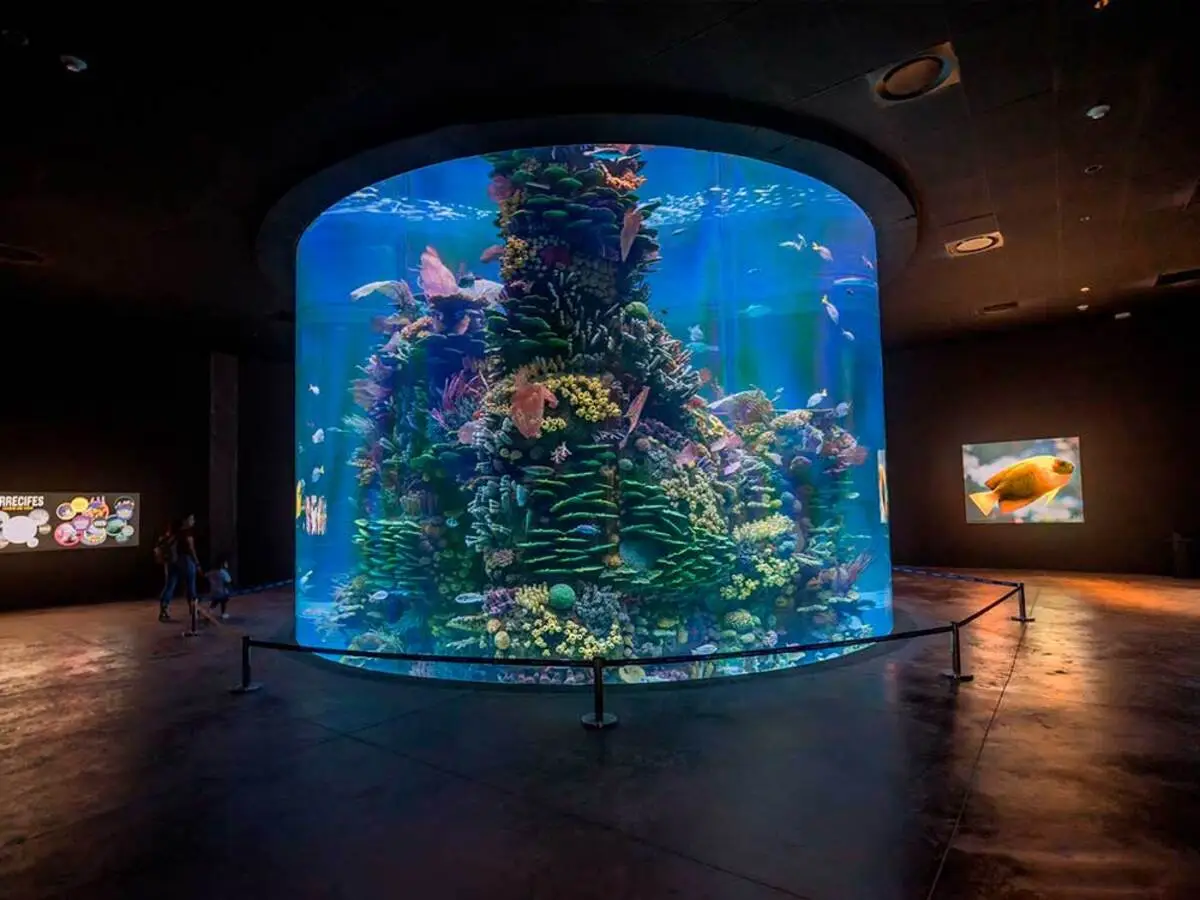 Gran Acuario Mazatlán