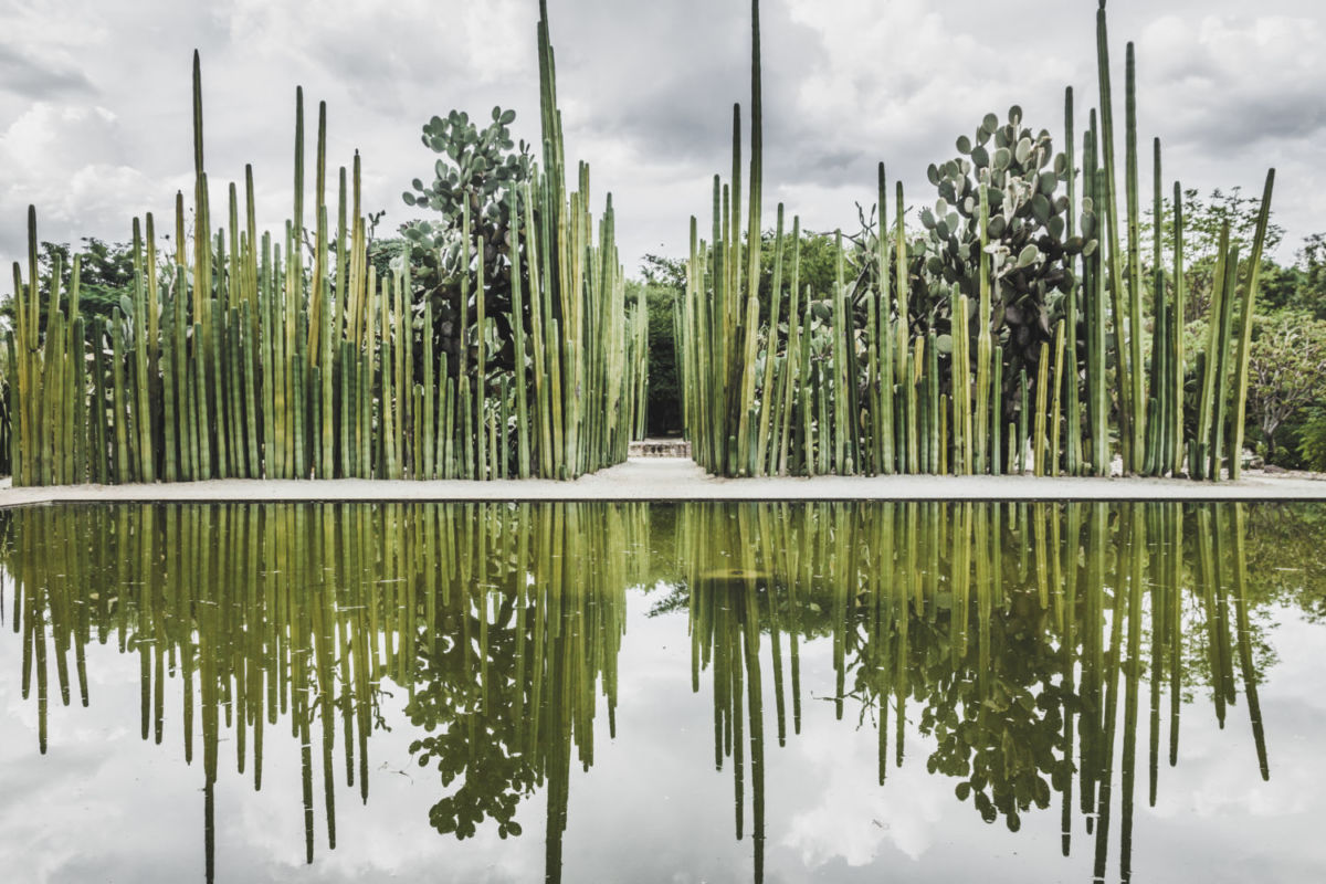 Jardín Etnobotánico de Oaxaca