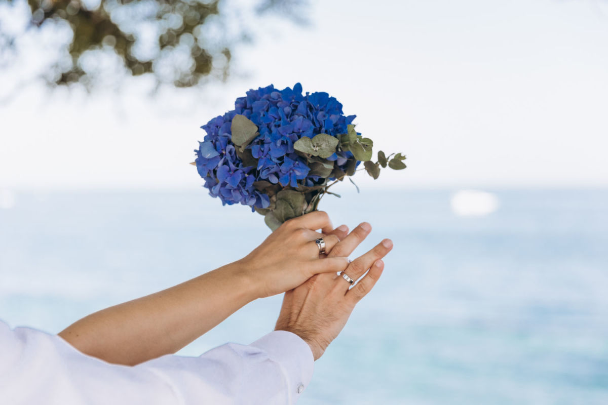 Hortensias azules para ramo de novia. 