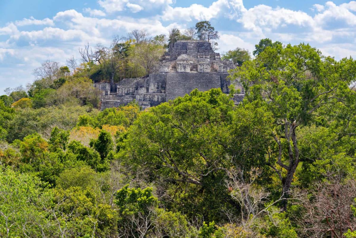 El bosque tropical más grande de Mesoamérica se encuentra en México y puedes visitarlo por menos de $250