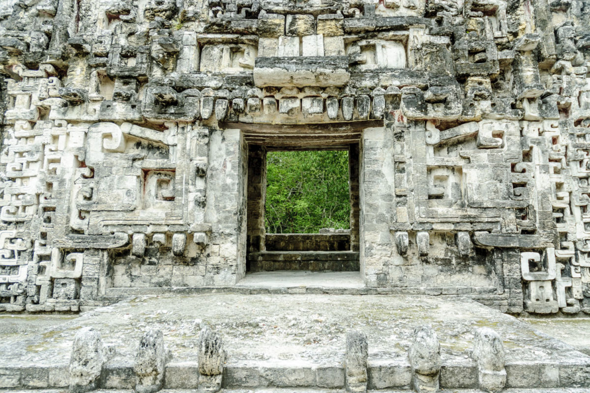 La entrada a la Reserva de la Biosfera Calakmul cuenta tan solo $240 pesos mexicanos
