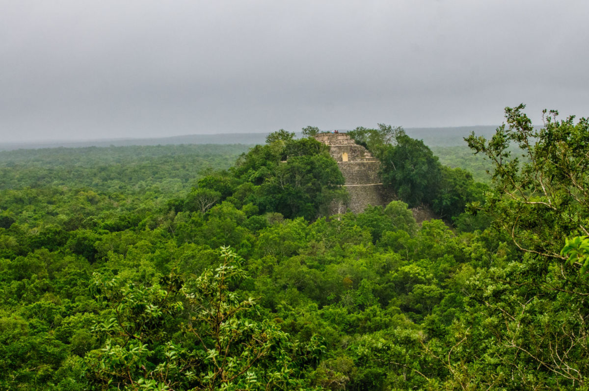 La Reserva de la Biosfera Calakmul sucede a la selva amazónica en extensión