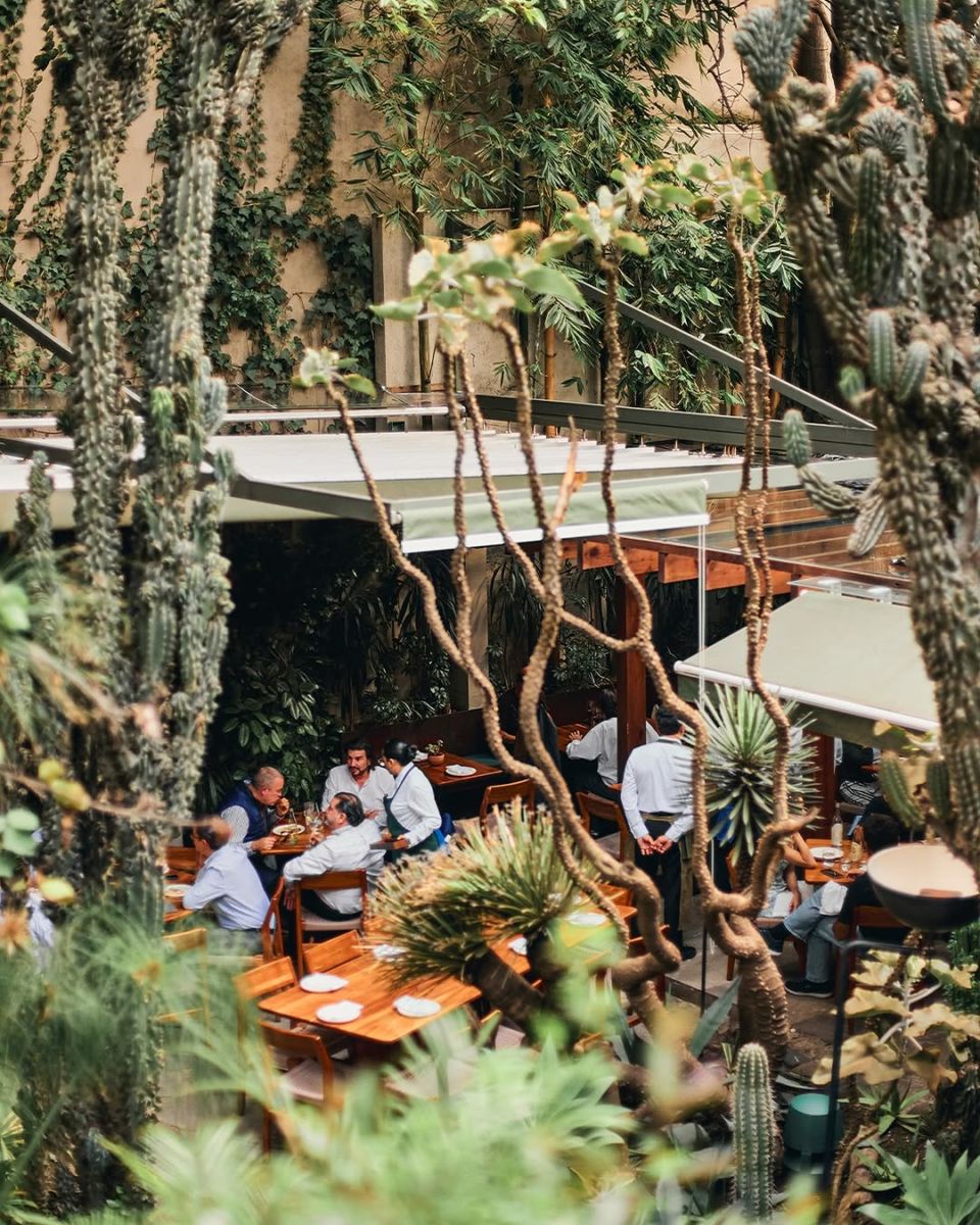 Restaurantes al aire libre en CDMX