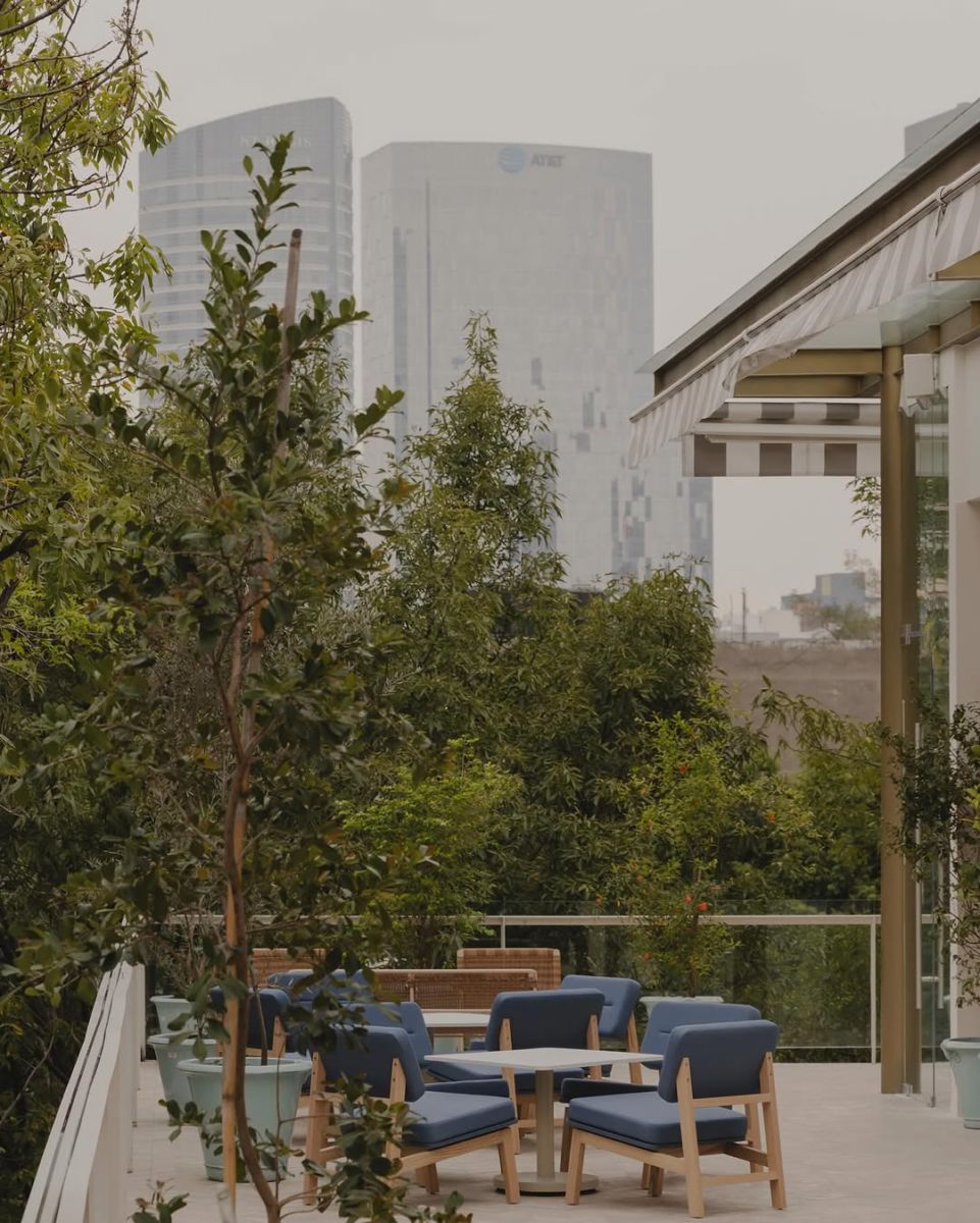 Holden Rooftop es la terraza del hotel Casona Roma 
