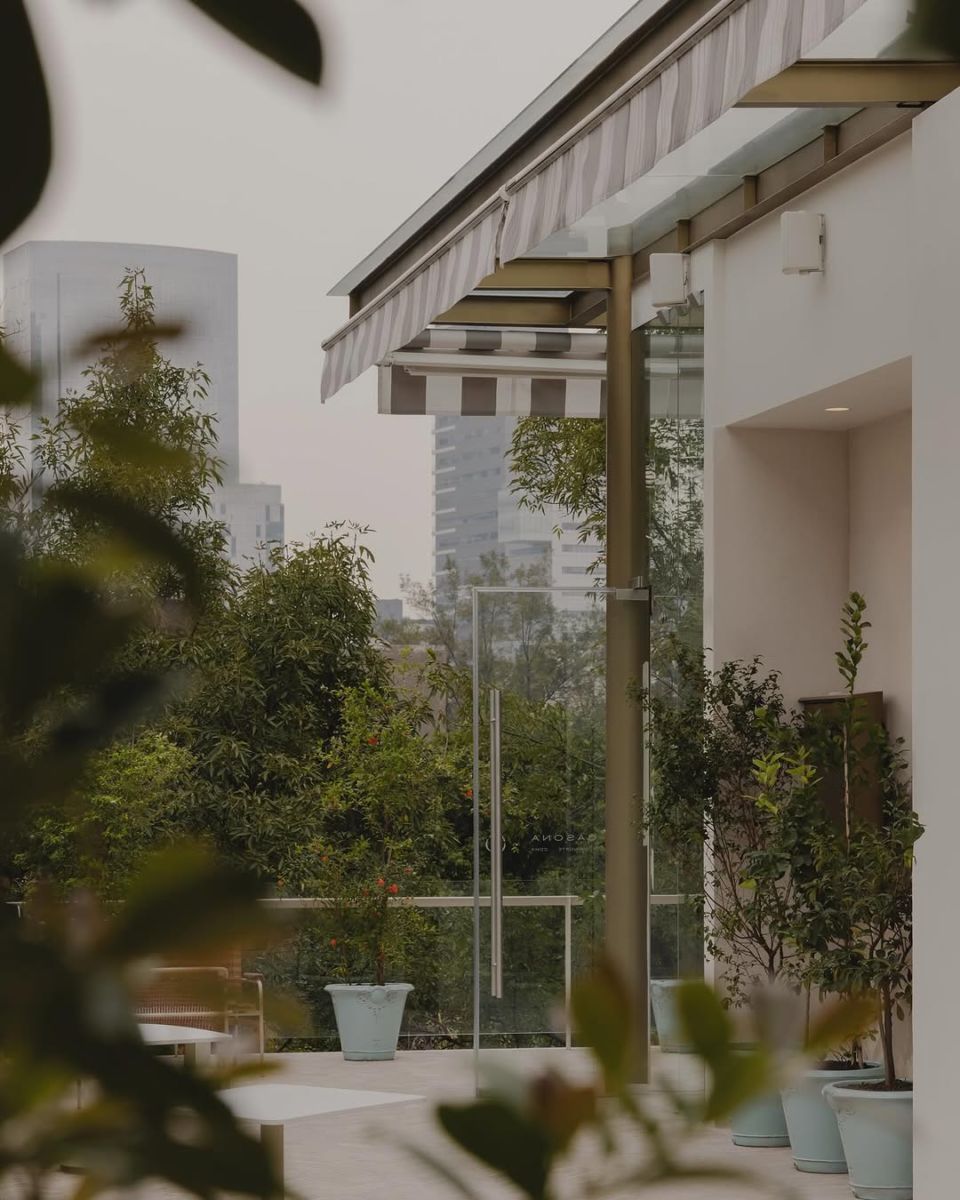 Restaurantes para ver jacarandas en la CDMX 