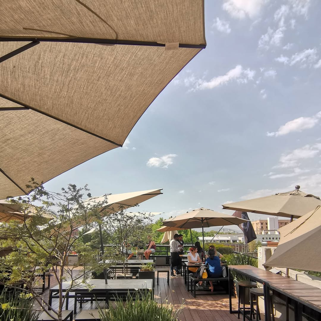 Restaurantes y terrazas para ver jacarandas en la CDMX 