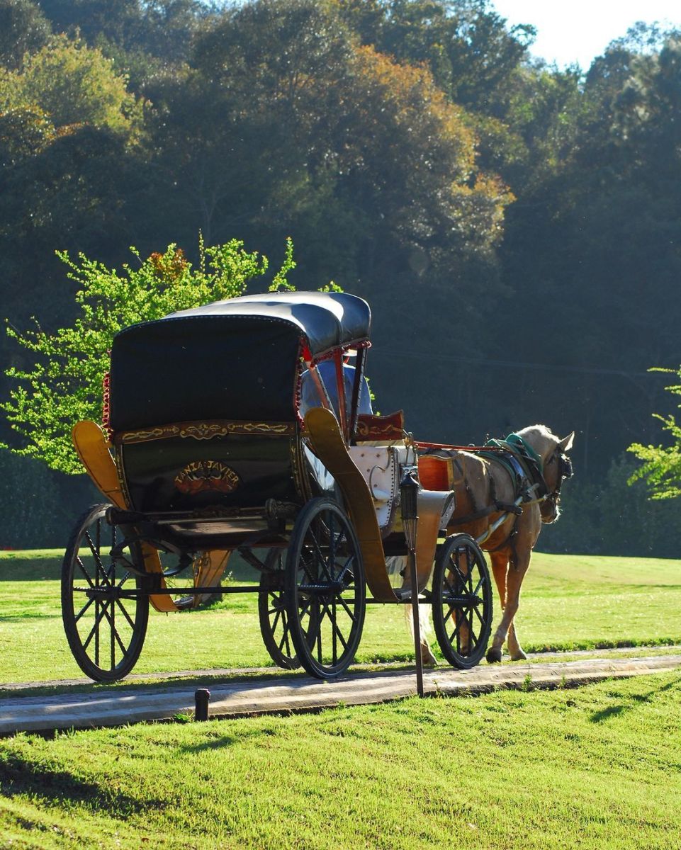alojamiento de lujo en Mascota, Jalisco
