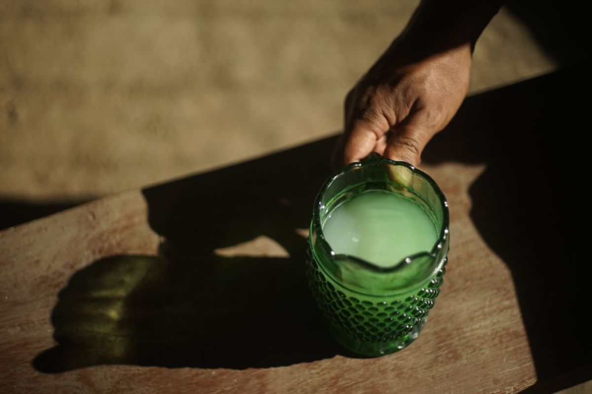 pulque, bebida típica de tlaxco