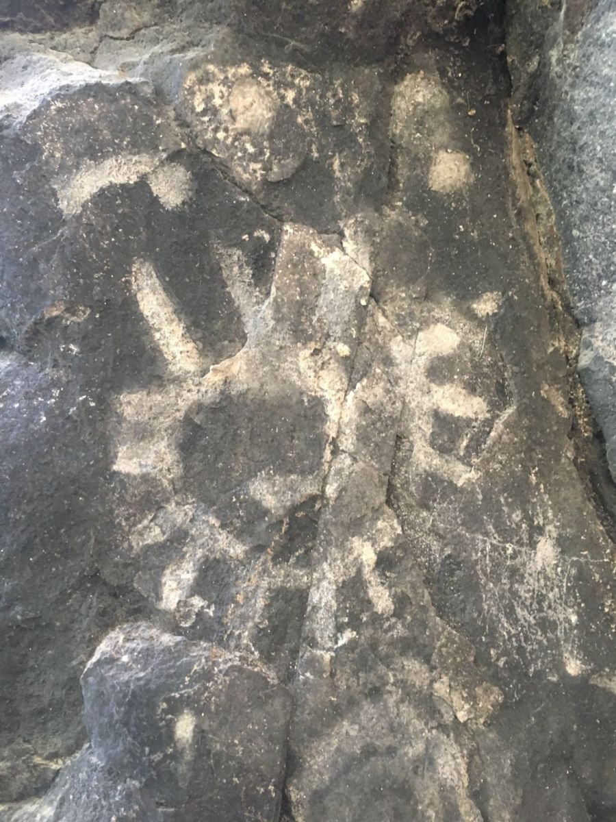 Pinturas Rupestres de La Peñuela