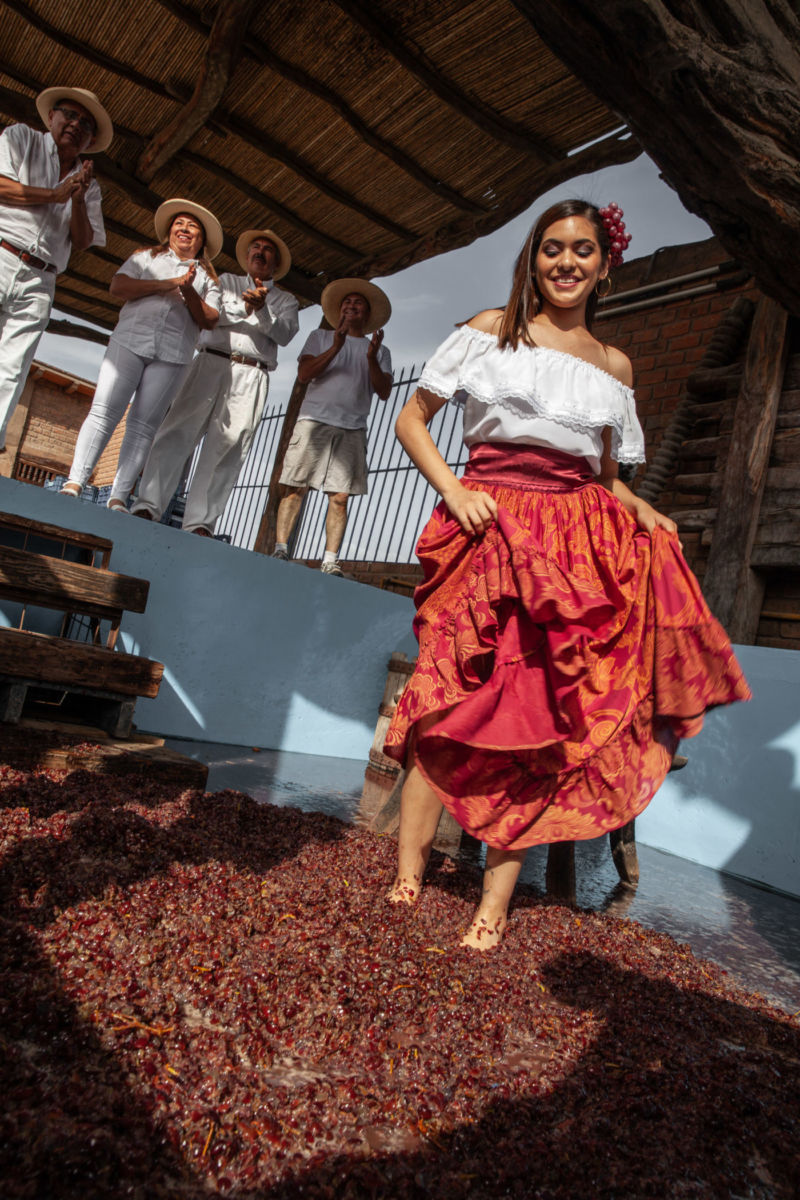 pisado de uvas en la vendimia en Perú
