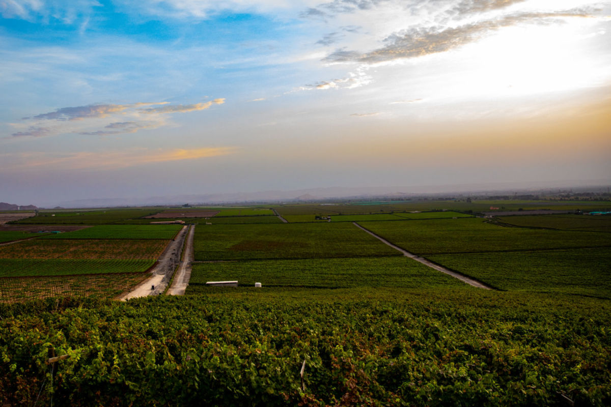 paisajes de la ruta del pisco