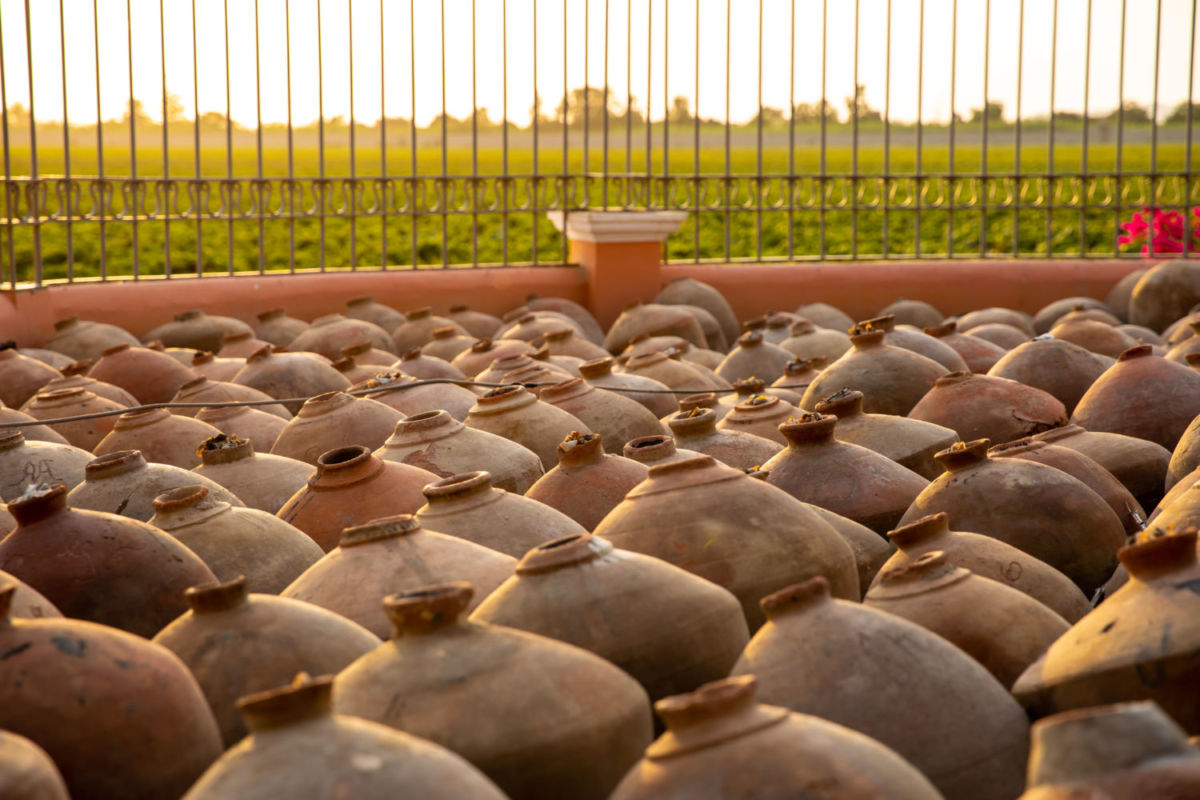 Ya es momento de reservar tu viaje a Perú para el 2026, y necesita incluir una vendimia en el itinerario