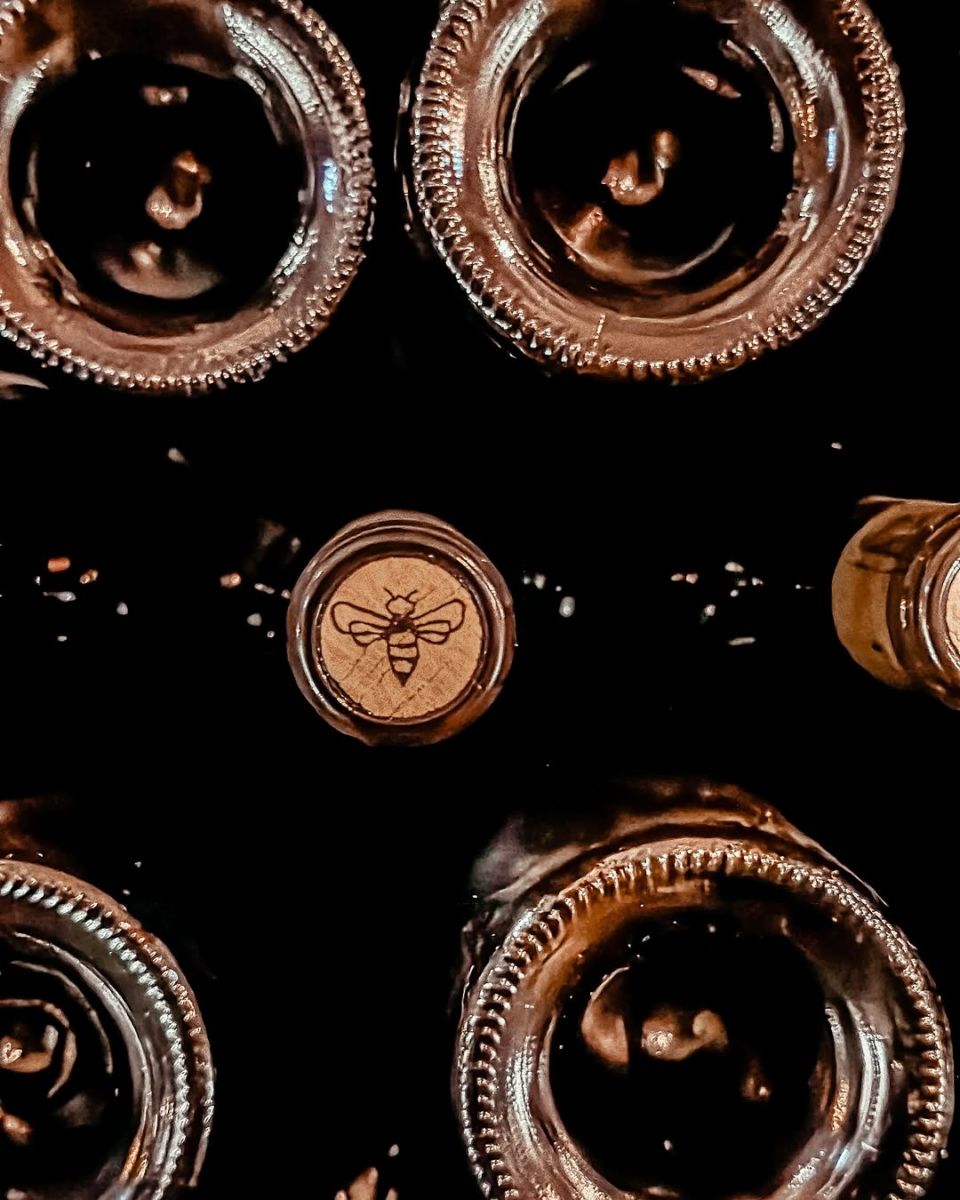 Viñedo familiar de San Luis Potosí. 