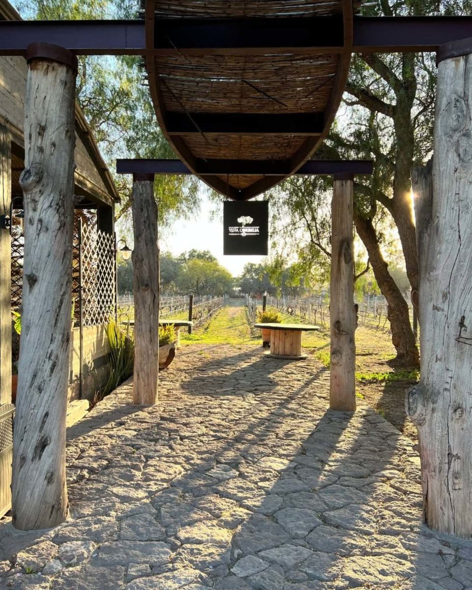 Cultura del vino en San Luis Potosí. 