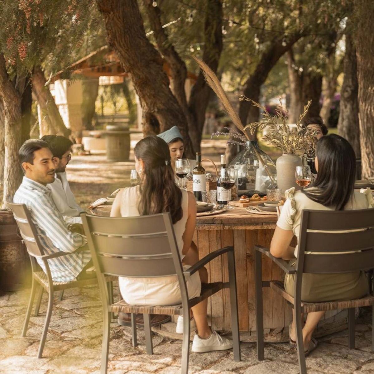 Viñedo para disfrutar con amigos o en familia en San Luis.