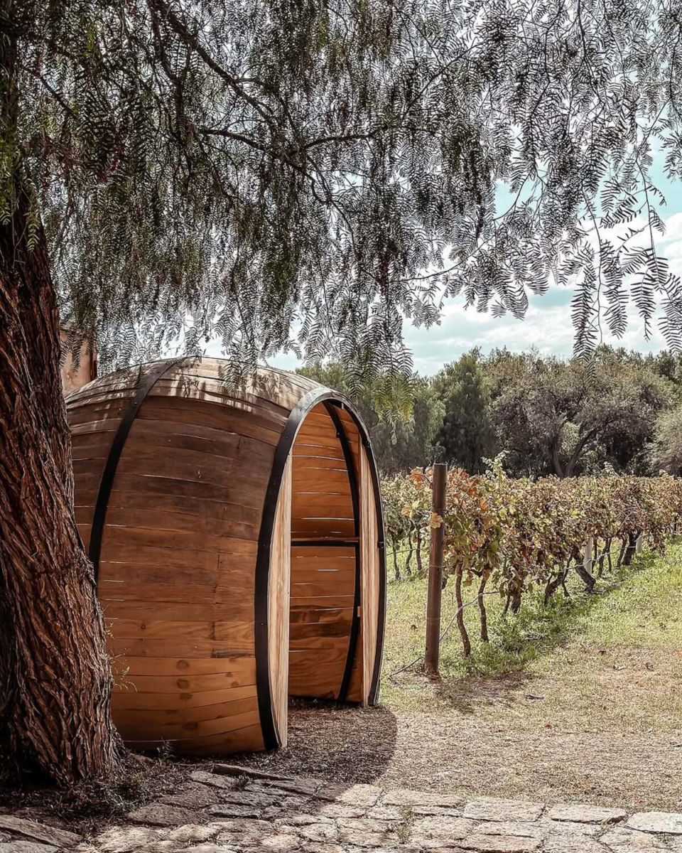 Viña Cordelia en San Luis Potosí, México. 