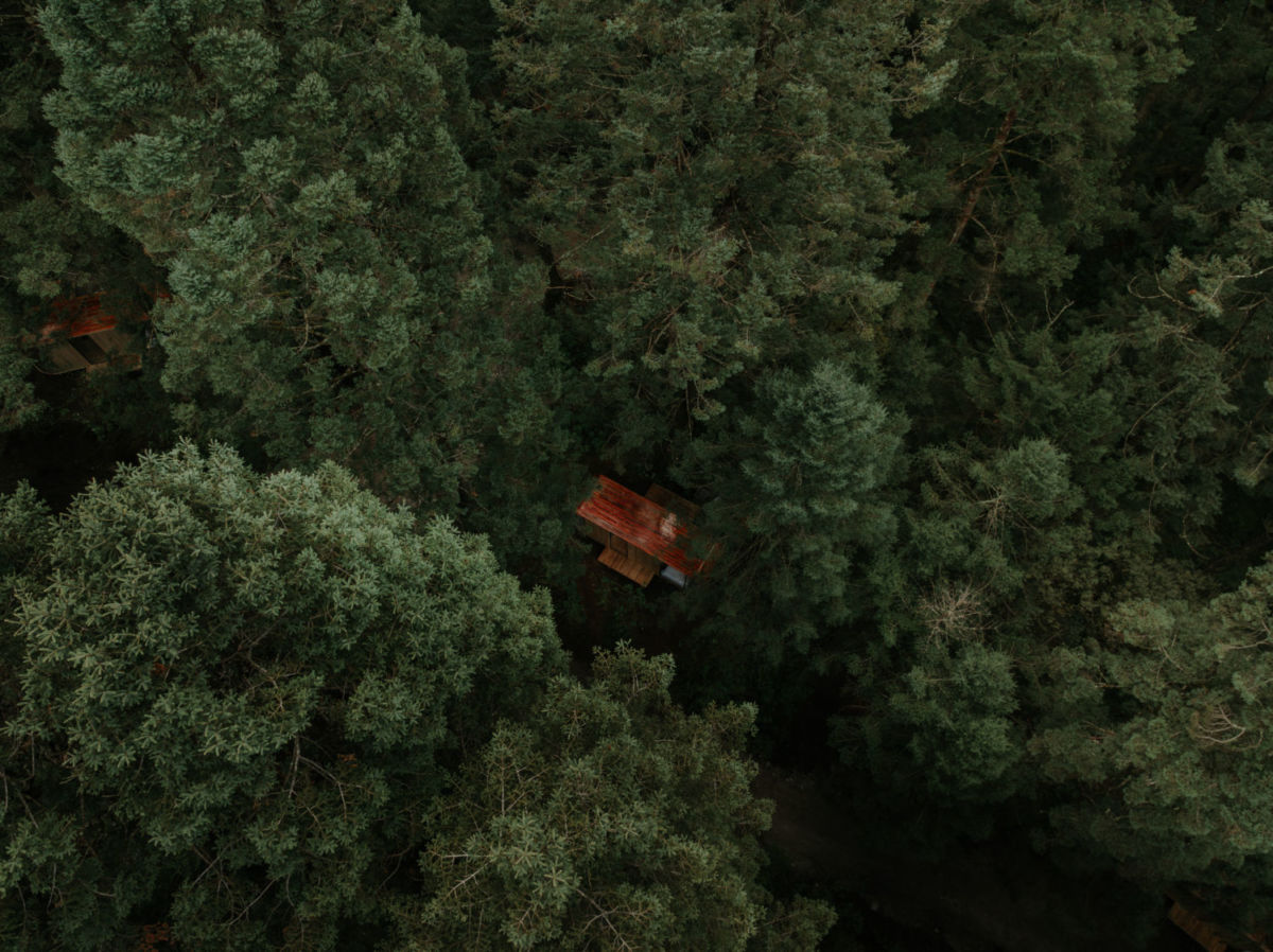 Cabañas en medio de la naturaleza.