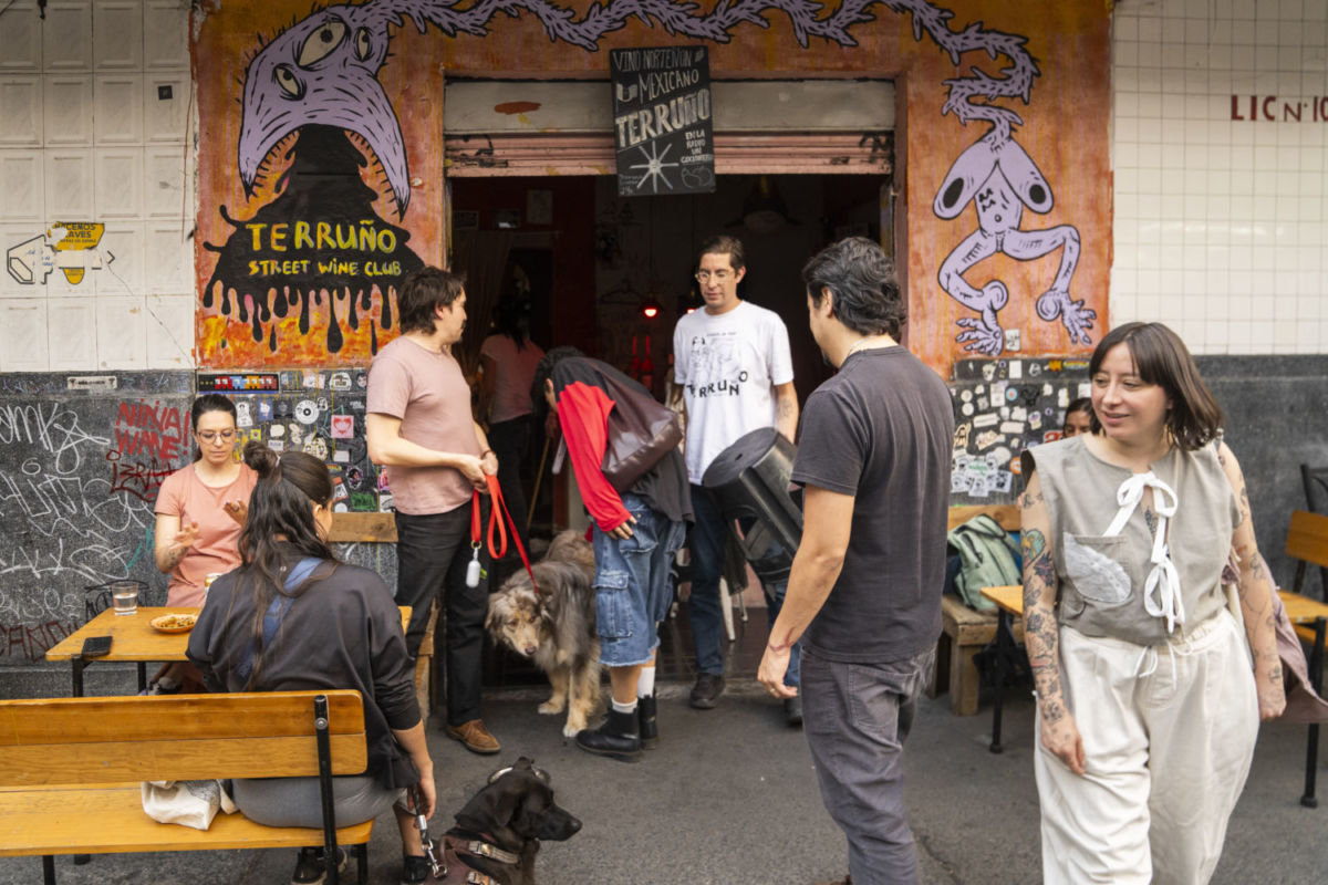 bar de vinos mexicanos en CDMX