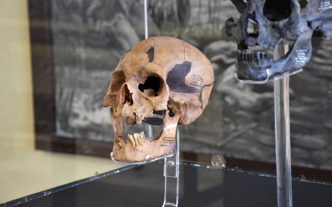 Museo del Hombre de Tepexpan