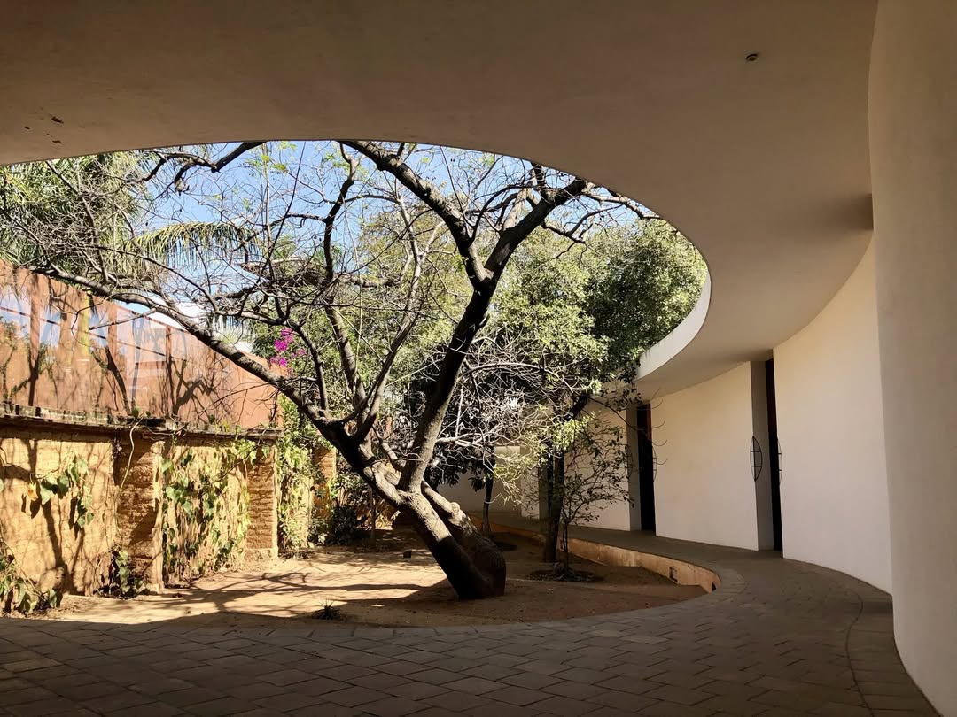 Biblioteca Infantil de Oaxaca