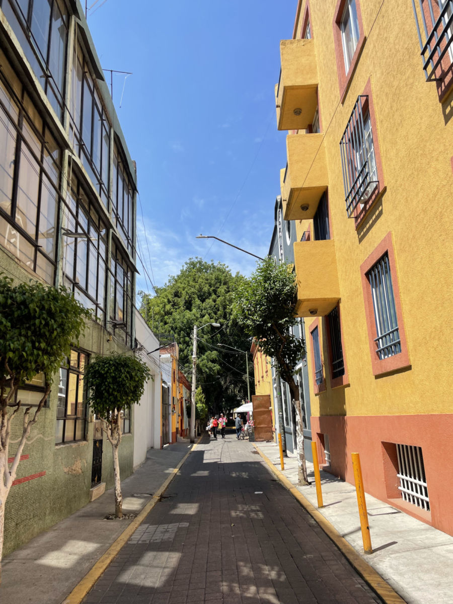 Calle hacia Plaza la Romita