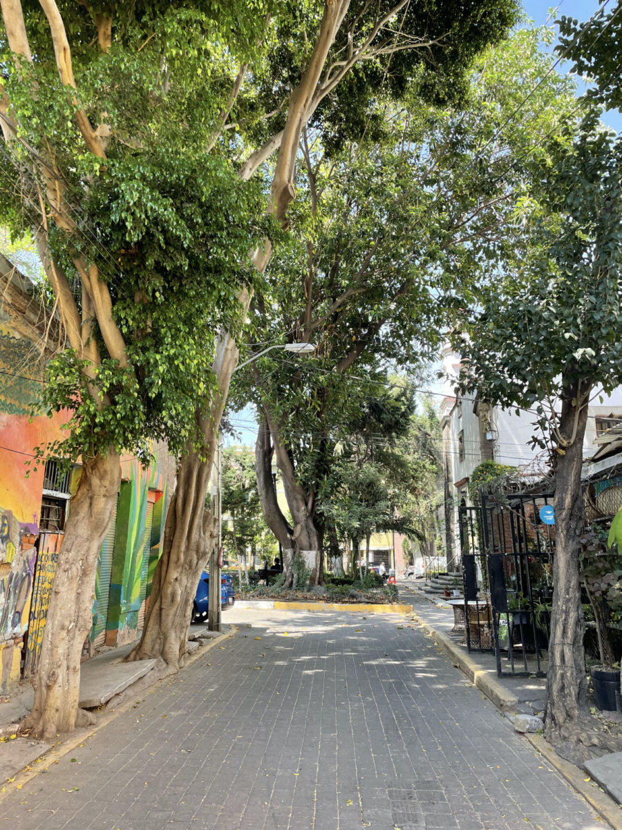 Barrio La Romita en CDMX