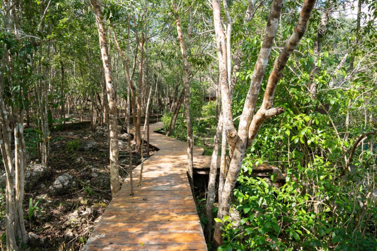 Entrada al cenote Carwash