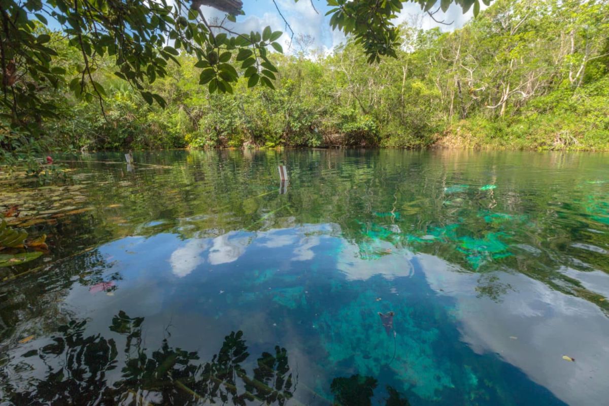 Cenote Carwash en Tulum