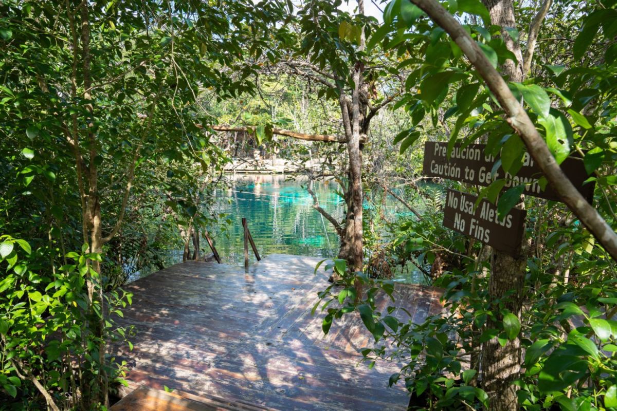 Cenote Carwash en Tulum