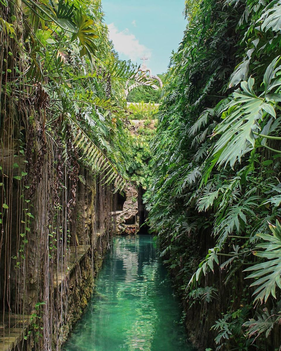Cenotes en Yucatán 