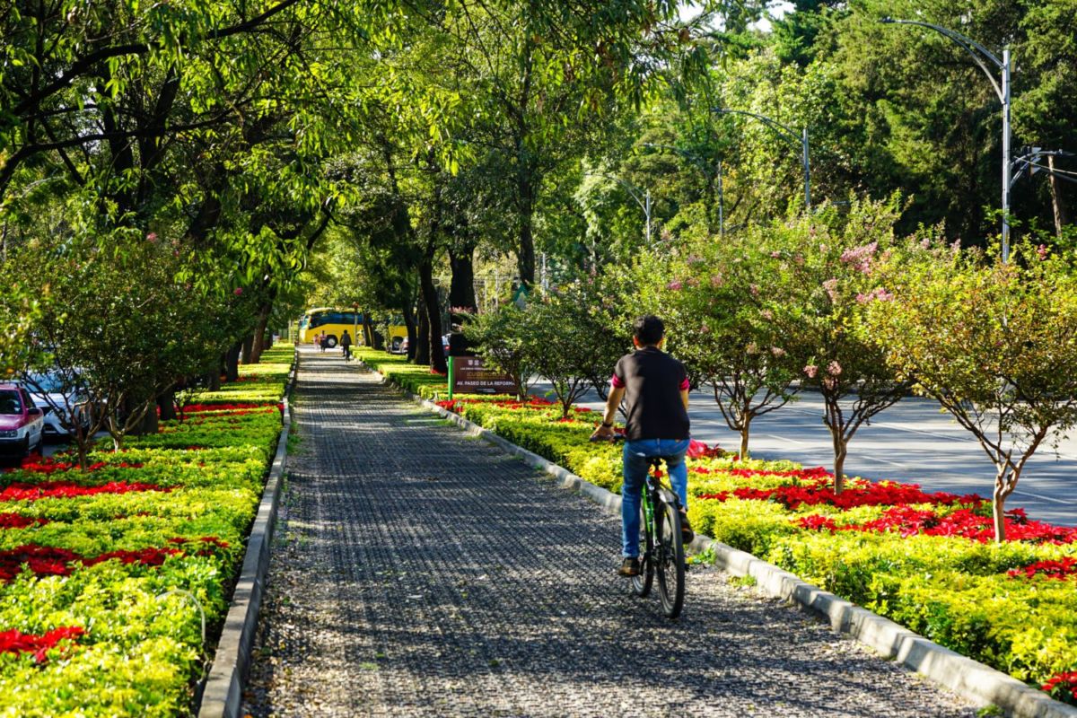 Cinco colonias en la CDMX para dar un paseo tranquilo en bici el fin de semana y sentirte de vacaciones