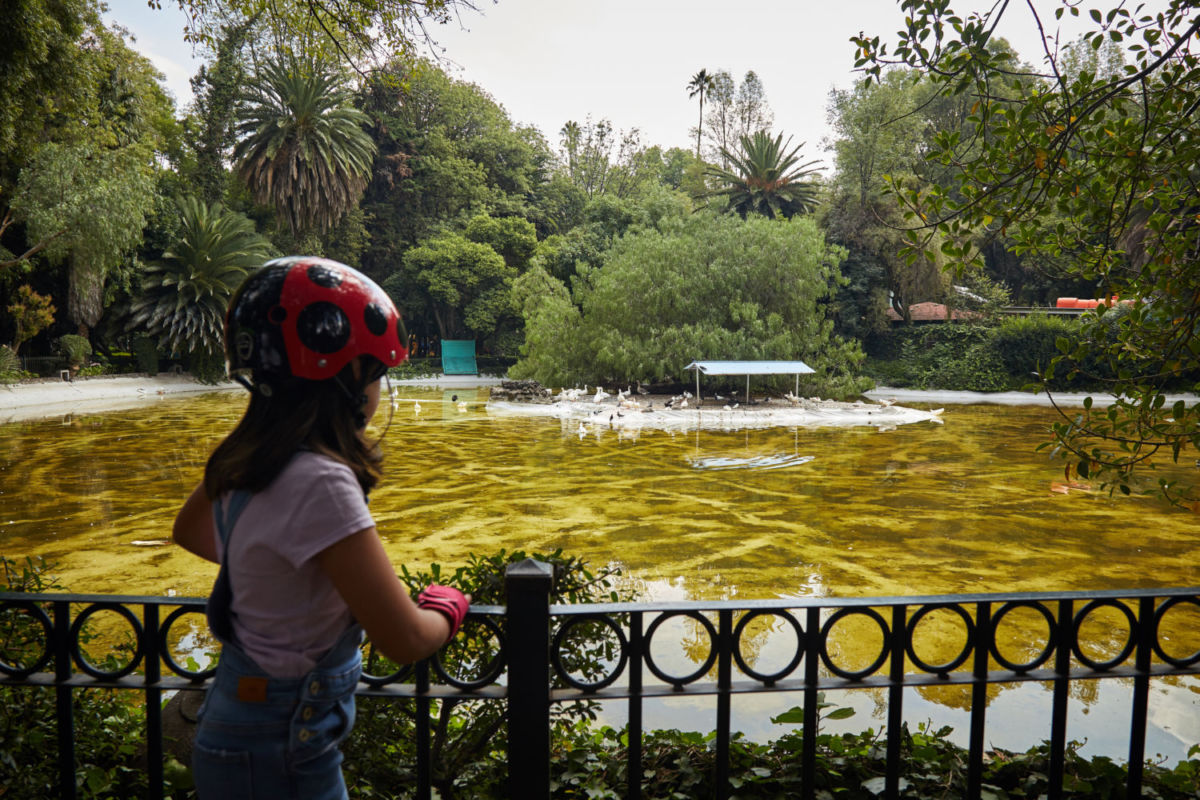 Parque México en la Condesa
