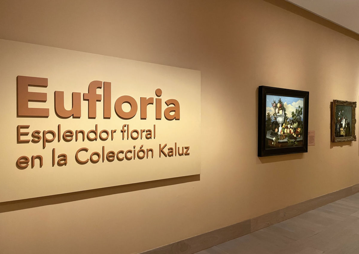 Nueva exposición Eufloria en el Museo Kaluz