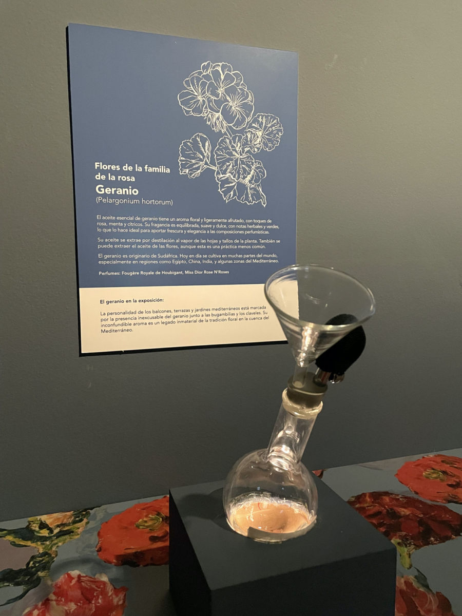 Museo del Perfume
