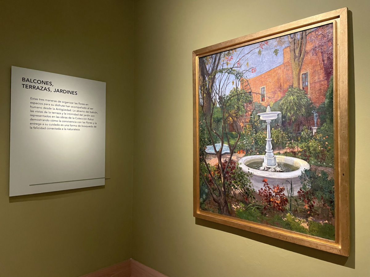 Exposición de flores en CDMX