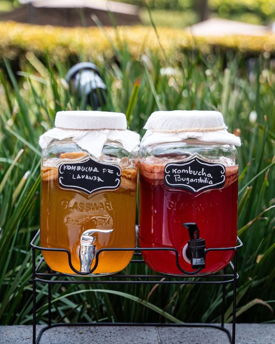 Kombucha hecha en casa
