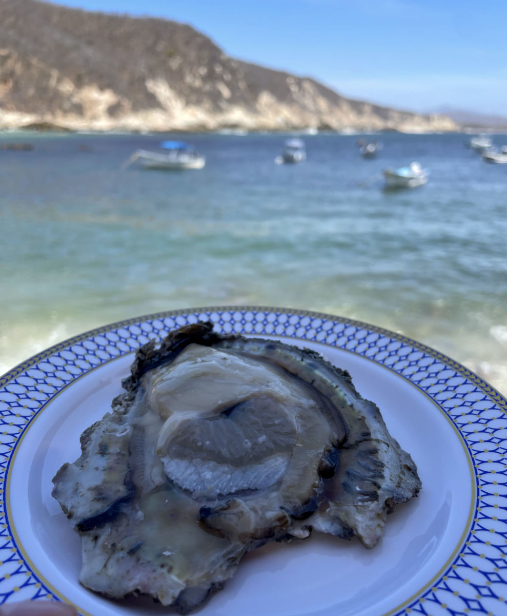 Festival del Ostión en Tehuamixtle