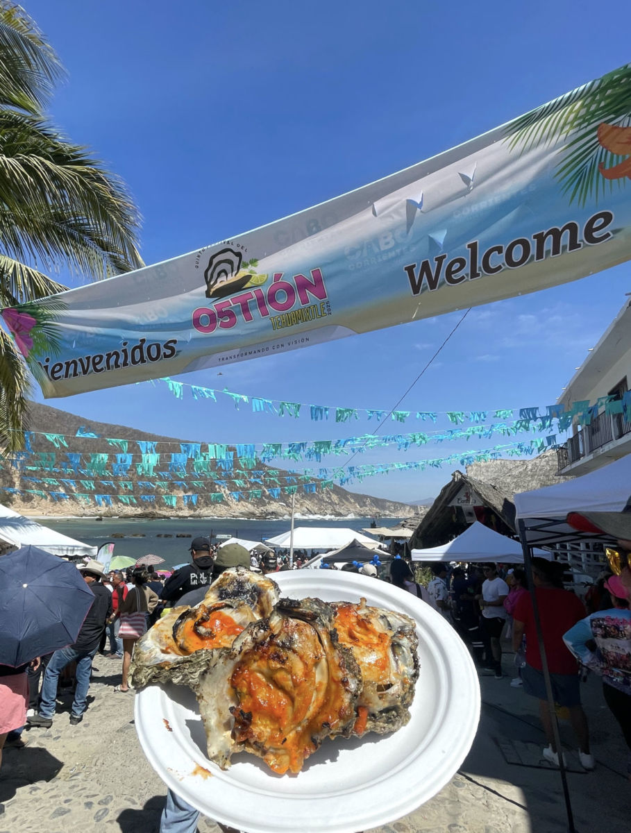 Festival del Ostión 2025