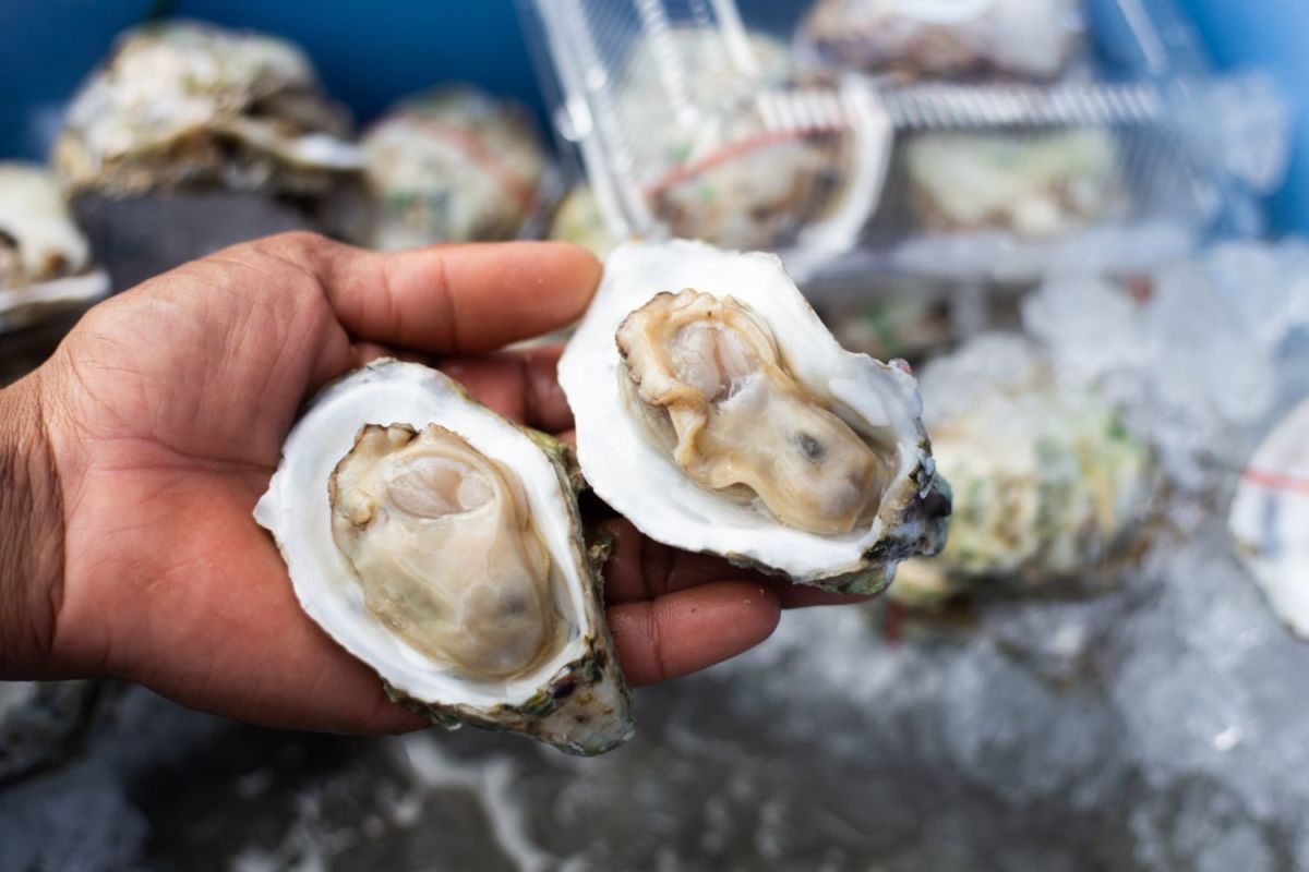 Festival del Ostión en Tehuamixtle