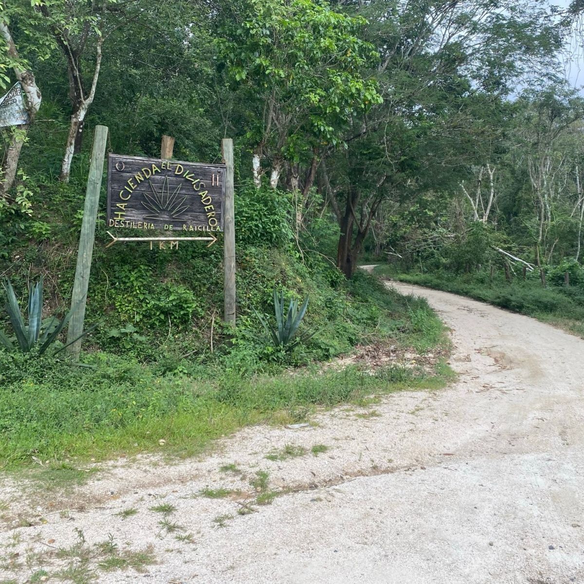 Entrada a la Hacienda El Divisadero