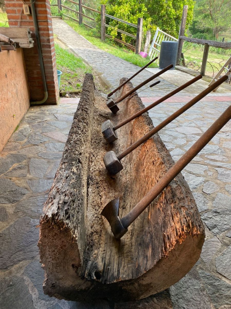 Proceso de la raicilla