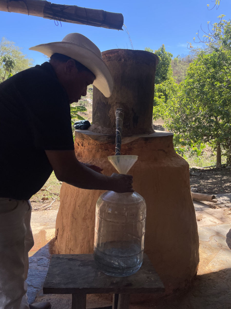 Degustación de raicilla 