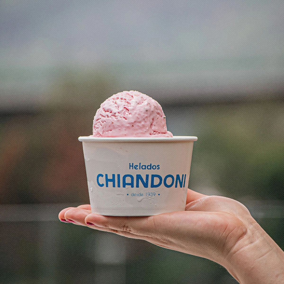 Heladería Chiandioni